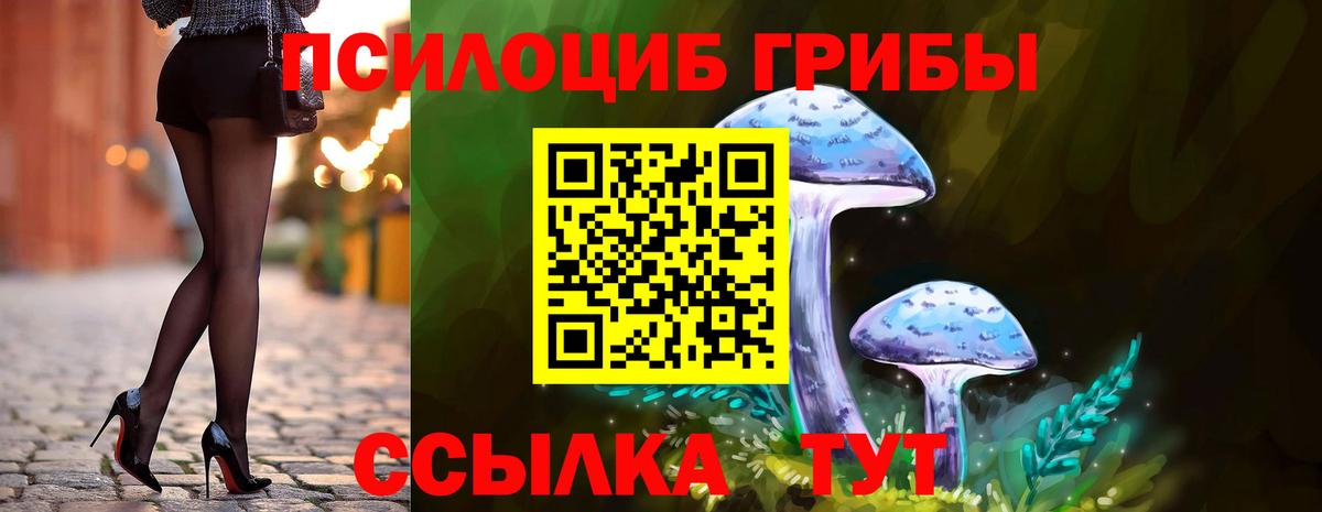 Галлюциногенные грибы Psilocybe  Вход с VPN  продажа наркотиков  Качканар 